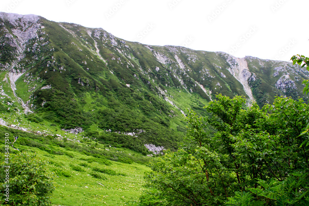 Fototapeta premium 木曽駒ヶ岳