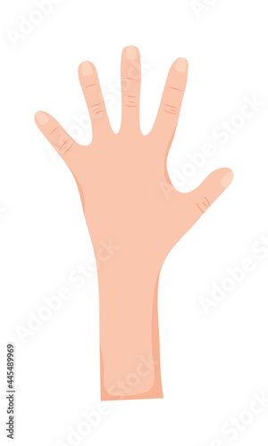 open human hand