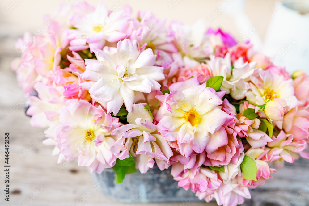 かごいっぱいのアプリコットピンクの薔薇の花/フィリスバイド Phyllis Bide /ローズガーデン