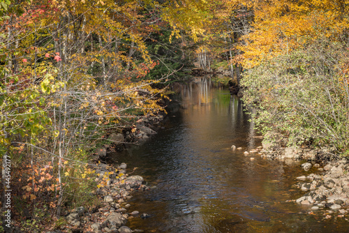 Fototapeta Naklejka Na Ścianę i Meble -  River in Autumn surrounded by Forest