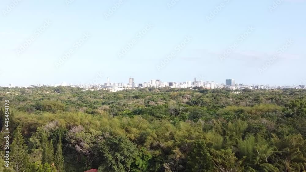 drone view from the top of the treetops in the background the view of the city, beautiful sunset of nature in the city. drone view from the top of the treetops in the background the view of the city, beautiful sunset of nature in the city.