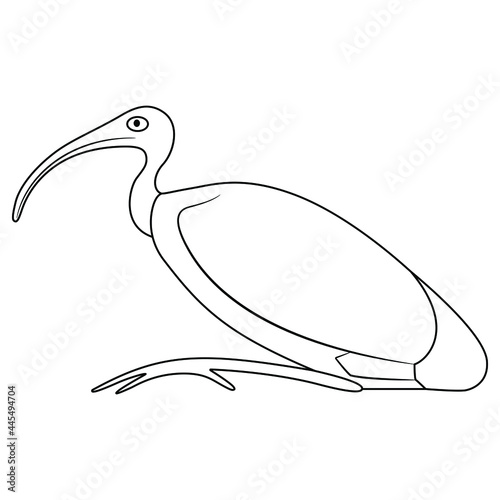 Perched ibis bird. Sacred animal of god Thoth. Ancient Egyptian mythology. Black and white linear silhouette.