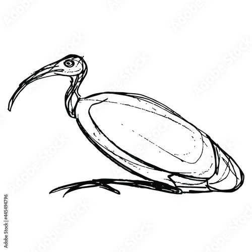 Perched ibis bird. Sacred animal of god Thoth. Ancient Egyptian mythology. Hand drawn linear doodle rough sketch. Black silhouette on white background.