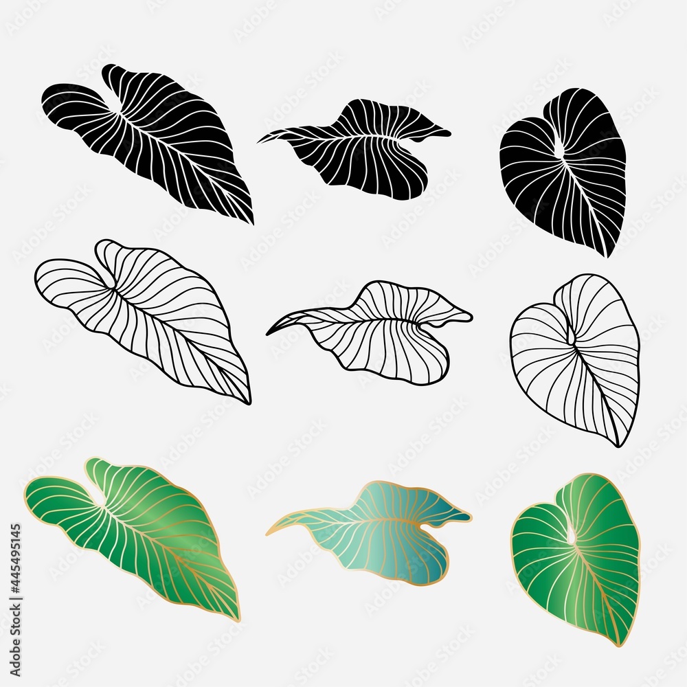 various kinds of taro leaf shape vector design various kinds of taro leaf shape vector design