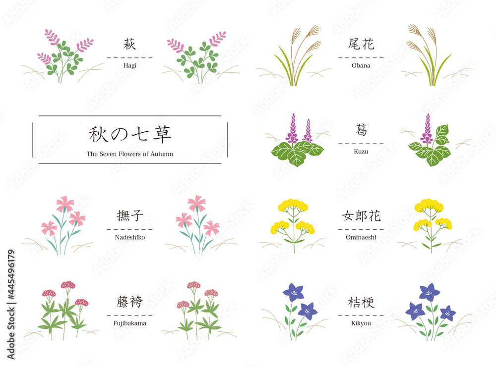秋の七草（萩、尾花、葛、撫子、女郎花、藤袴、桔梗）のシンプルなイラスト