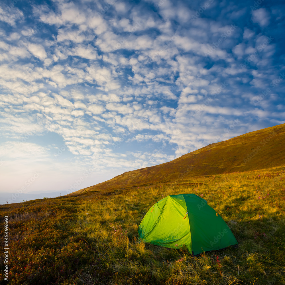 small green touristic tent stay on mount slope at the early morning, natural travel scene