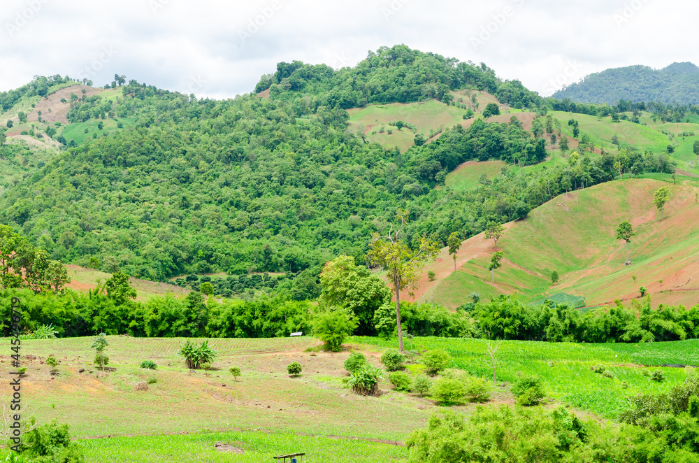 Shifting cultivation landscape of agriculture on the hill, bald mountain in Thailand