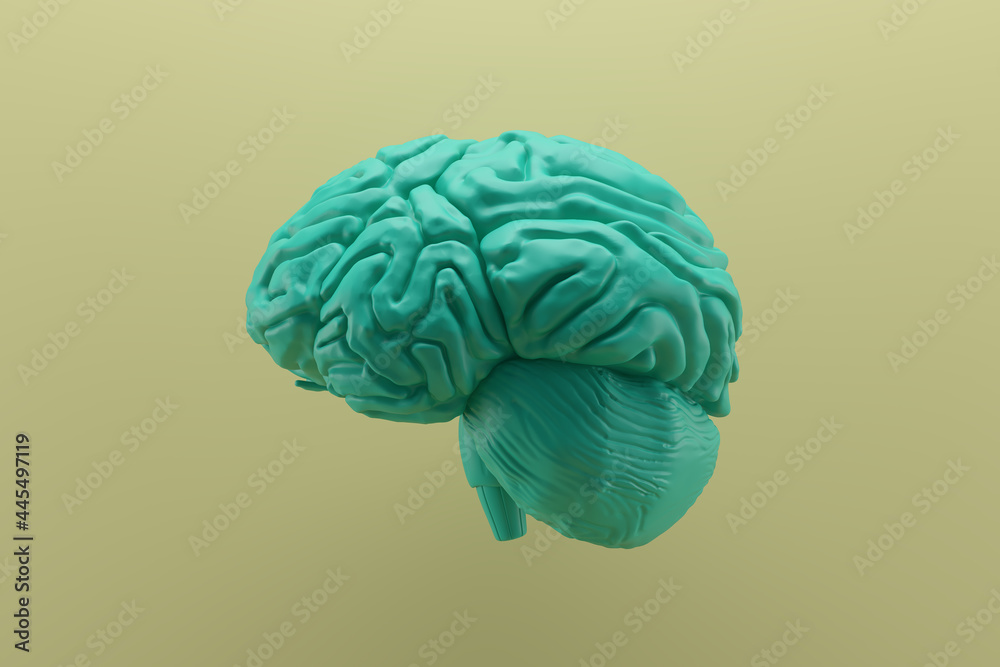 Green human brain Anatomical Model slide on yellow background. 3d rendering.