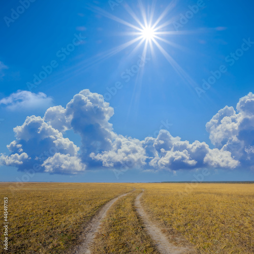 ground road among summer dry prairie under a sparkle sun