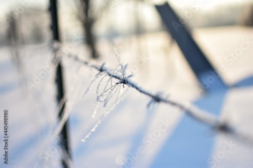 barbed wire fence in snow