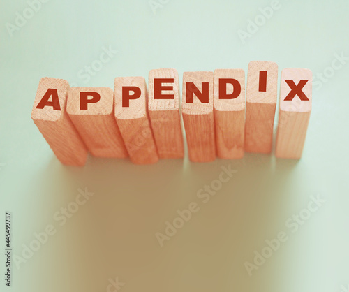 appendix word written on wood block. appendix text on table, concept photo