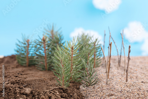Miniature concept scene of planting trees to prevent sand