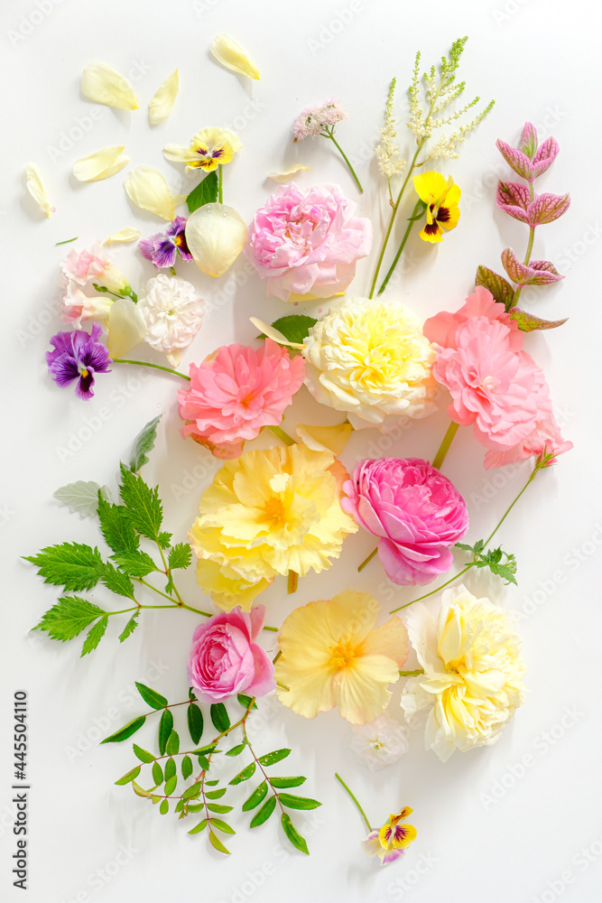 fresh summer flowers and leaves fresh summer flowers and leaves