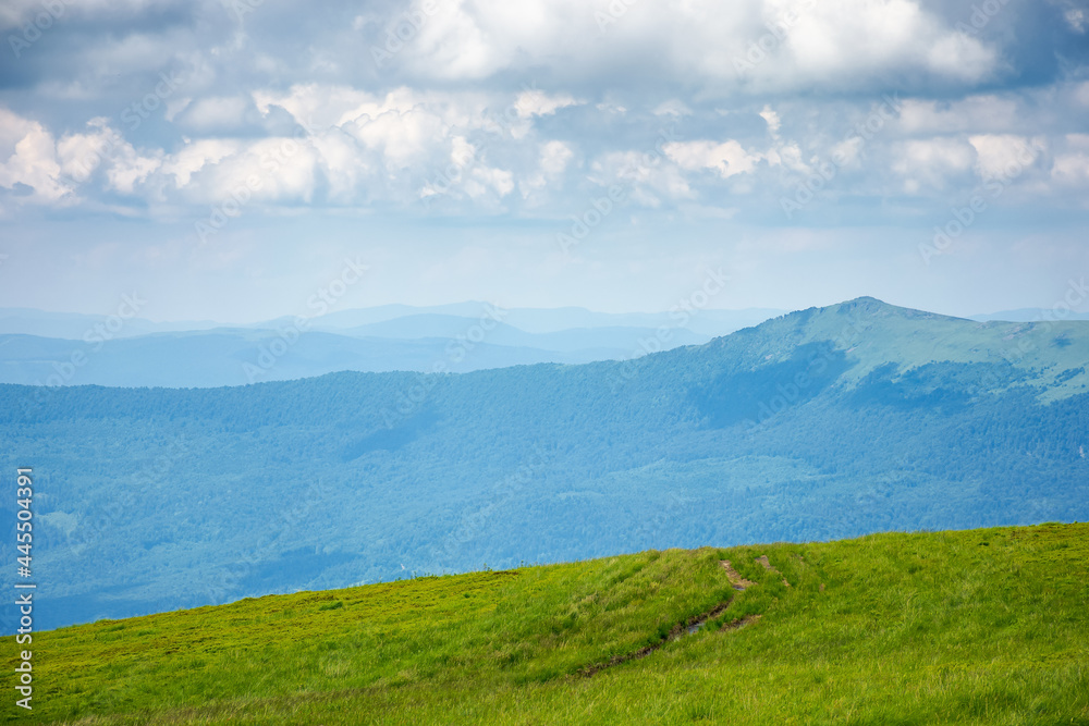 Obraz premium idyllic summer landscape. grassy meadow and high peak in the distance. sunny weather with fluffy clouds on the blue sky. green and blue color in nature