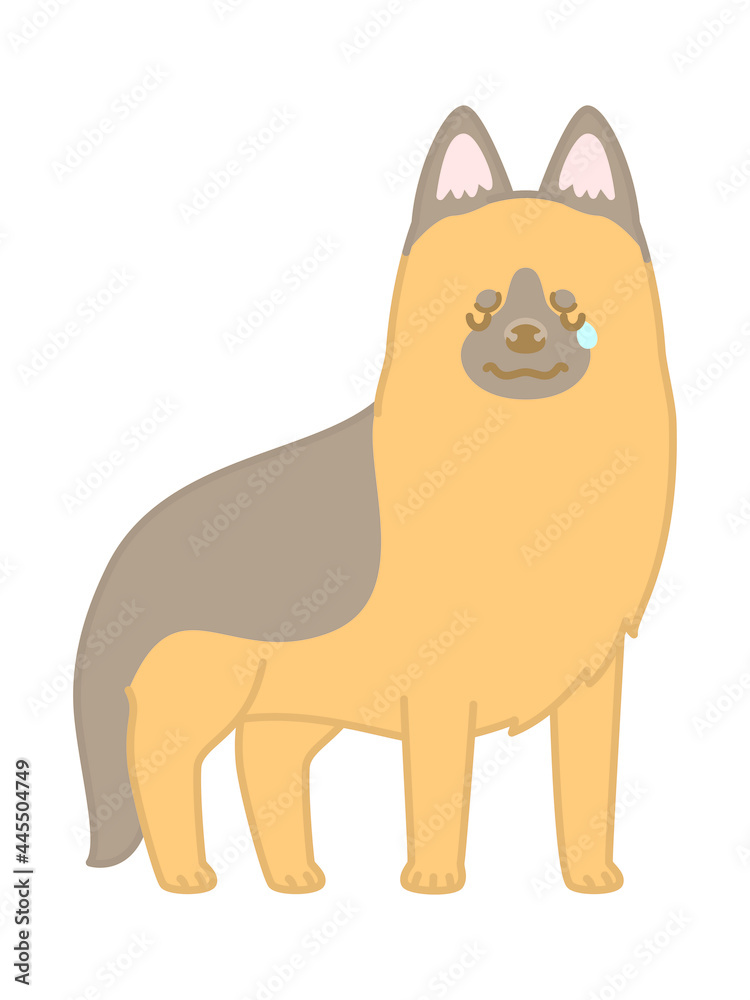 Obraz premium ジャーマンシェパード