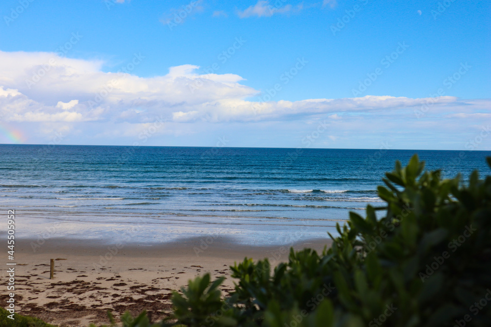 beach and sea