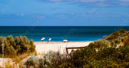 beach and sea