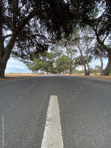 road in the countryside