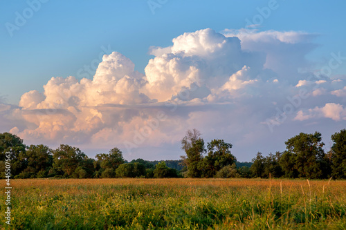 Lush purple thunderclouds over a blooming field at sunset light