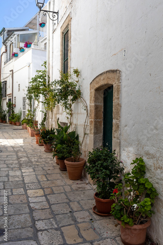 The charming and romantic historic old town of Polignano a Mare  Apulia  southern Italy