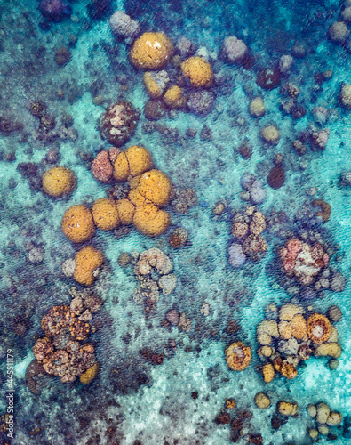 Fototapeta Naklejka Na Ścianę i Meble -  Coral Reef from a drone aerial birds eye top down view rocks and water blue turquoise green natural shape and form no people and copy space corals and sea life