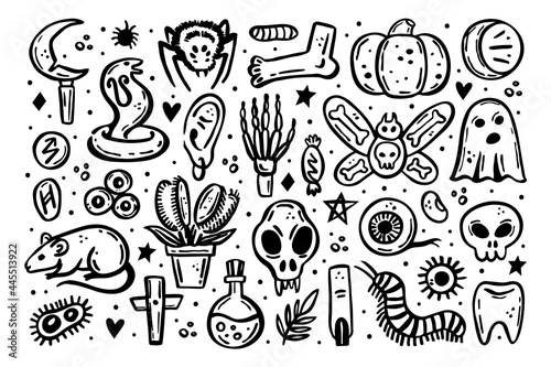 Black scary ink vector Halloween illustration. Skull, druid knife, insect, ghost, rat, poison, eye, pumpkin, bone, cross, spider, rune, tooth, herb, death, danger. Isolated on white background.