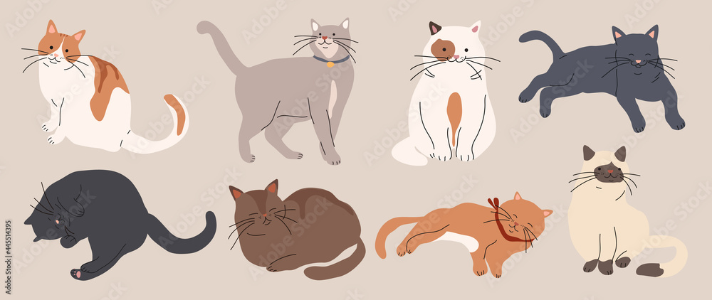 Fototapeta Cute and funny cats doodle vector set. Cartoon cat or kitten characters design collection with flat color in different poses. Set of purebred pet animals isolated on white background.
