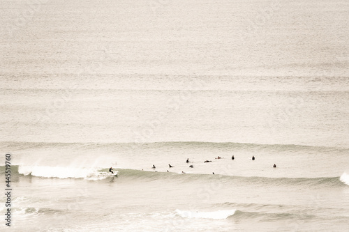 crowd surfing perfect waves