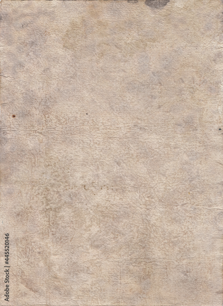 Fototapeta premium Paper Textures