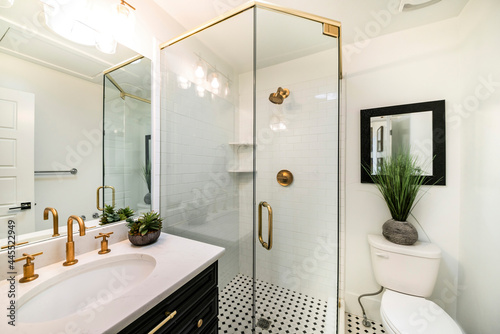 Stylish luxurious bathroom design with black and gold fixtures