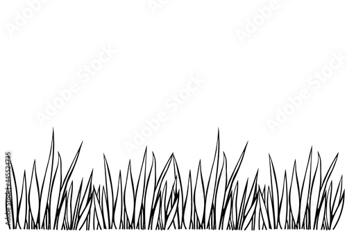 Vector black outline of the grass isolated on white background. Herbal Border, horizontal bottom edging, lawn panoramic landscape. Template, design element for coloring, postcard, illustration