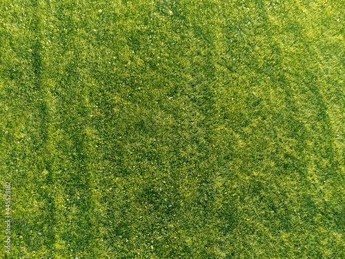 Luftaufnahme eines Rasen im Sommer