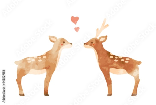 かわいい手描きのカップルのシカ