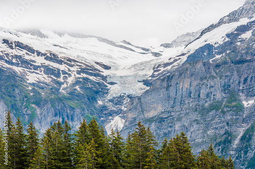 Grindelwald, Wetterhorn, Bort, First, Bussalp, Schreckhorn, unterer Grindelwaldgletscher, Wanderweg, Bergbahn, Alpen, Eiger, Eigernordwand, Berner Oberland, Sommer, Schweiz