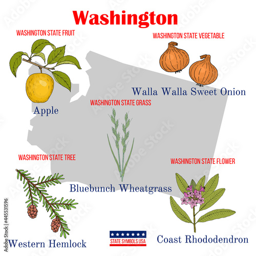 Washington. Set of USA official state symbols