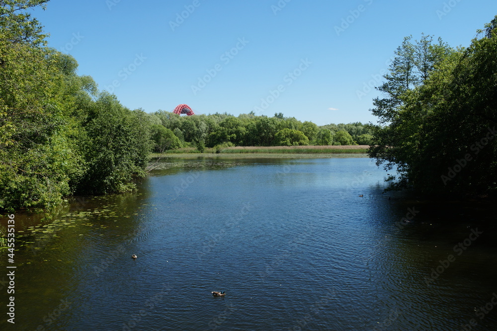 Fototapeta premium river in the park