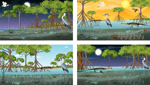 Different mangrove forest landscape scenes with animals and plants