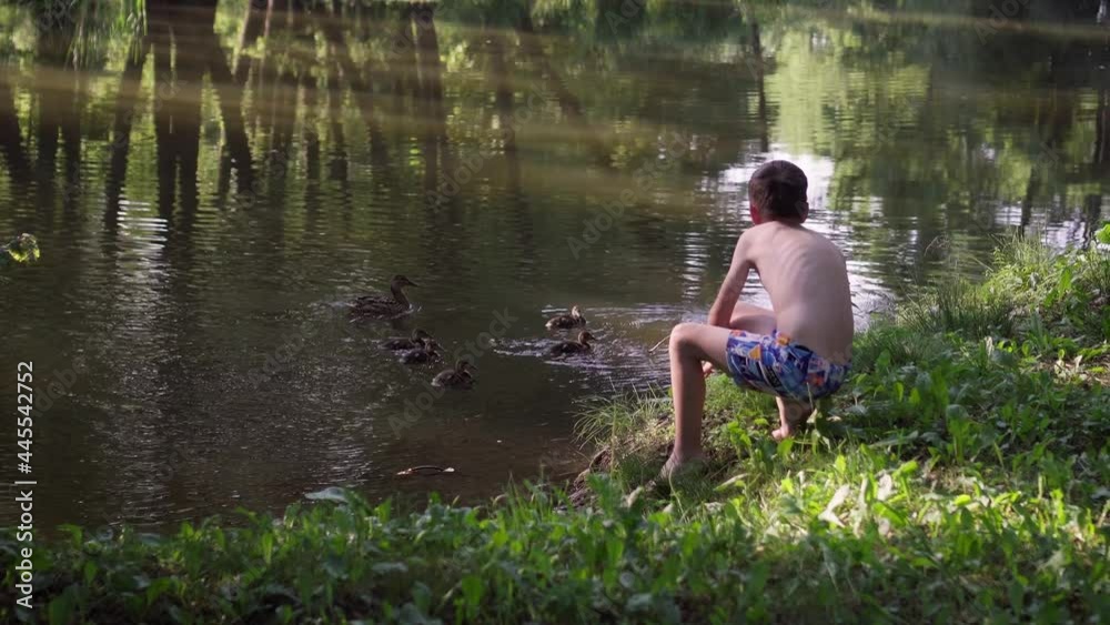 A boy in swimming trunks with his back to the camera, watching the ducks in nature. A curious boy who loves nature.