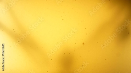 Fermenting honey in a glass bottle with carbonated bubbles fizzing and yeast taking visible shape within, also influenced by intentional lighting.