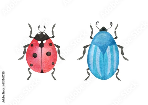 Hand-drawn ladybird and blue striped beetle isolated on a white background. Watercolor insects illustration. Two cute bugs set © flaxlynx