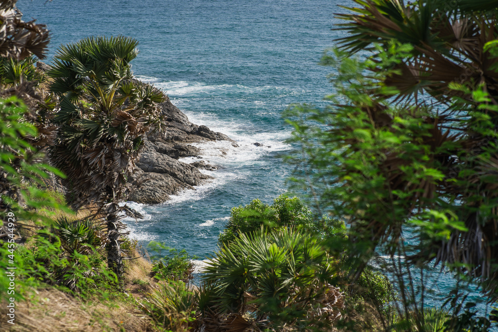 View through palm trees and bushes on the rocky shore and sea waves. Tropical paradise idyllic background
