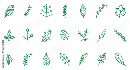 Doodle green leaves line icon setcollection of green leaves. Collection of green leaves