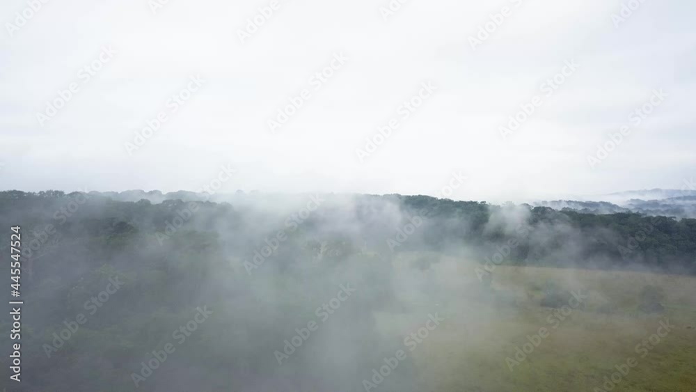 Aerial reveal view of the rainforest of Gabon through the fog. Aerial reveal view of the rainforest of Gabon through the fog.
