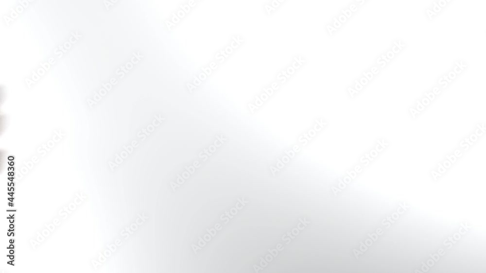 A magnifier is passing over the red write VACCINE on white surface - 3D rendering animation A magnifier is passing over the red write VACCINE on white surface - 3D rendering animation