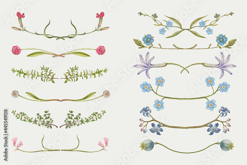 Pink and blue flower flourish divider vector, remix from The Model Book of Calligraphy Joris Hoefnagel and Georg Bocskay