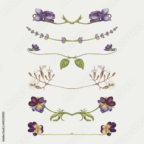 Purple flower divider flourish vector set, remix from The Model Book of Calligraphy Joris Hoefnagel and Georg Bocskay