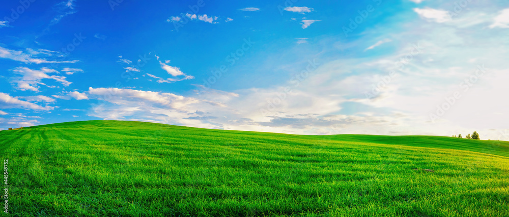 Panoramic natural landscape with green grass field and blue sky with clouds with curved horizon line. Panorama summer spring meadow.