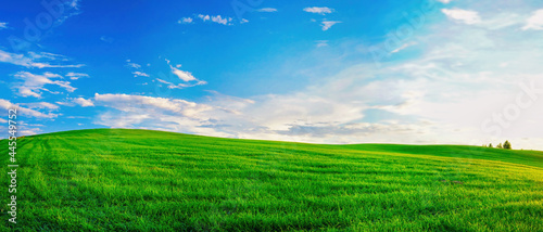 Fototapeta Naklejka Na Ścianę i Meble -  Panoramic natural landscape with green grass field and blue sky with clouds with curved horizon line. Panorama summer spring meadow.