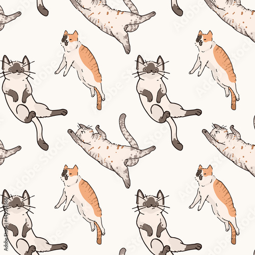 Fototapeta Naklejka Na Ścianę i Meble -  Cats doodle seamless patterned background vector