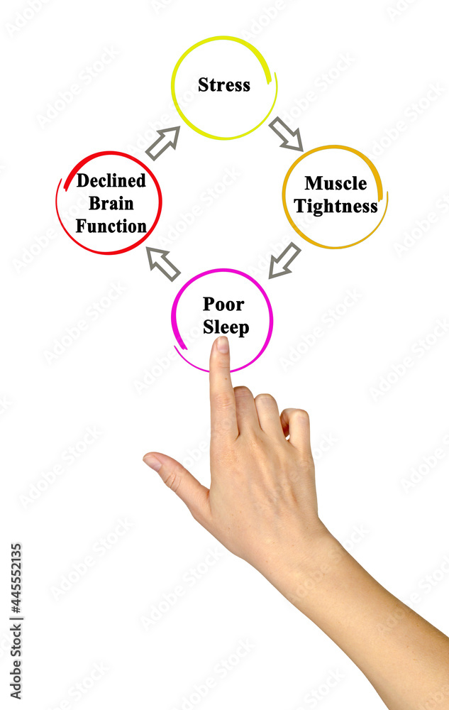 From stress to declining brain functions From stress to declining brain functions